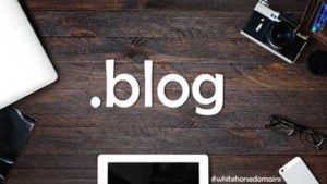 Bloggers domains from White Horse Domains